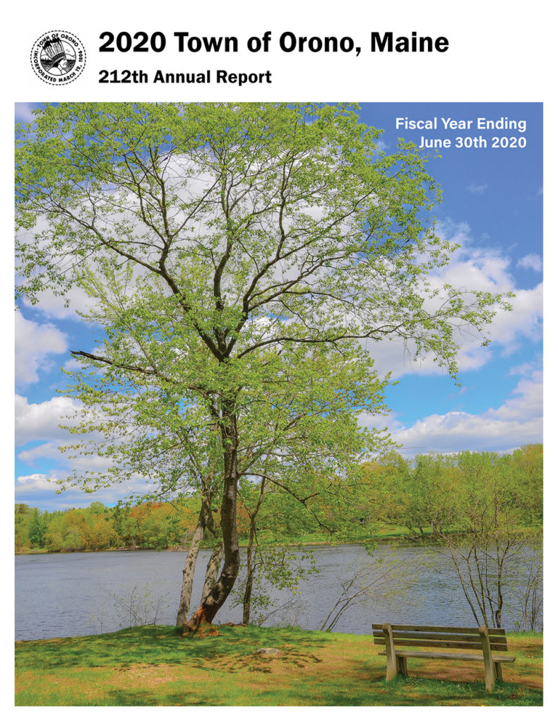 Cover of Orono Annual Report 2020 tall tree in foreground at river landing on sunny day